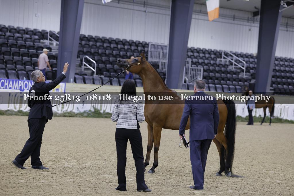 Proof 25R13_08118