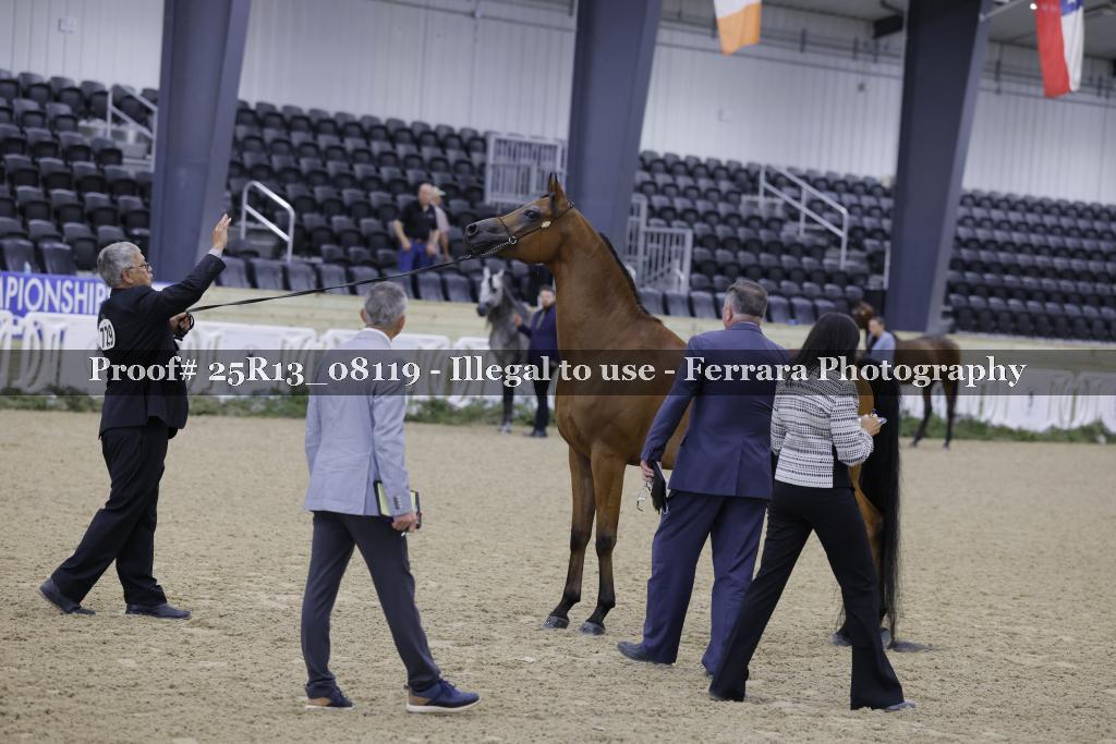 Proof 25R13_08119