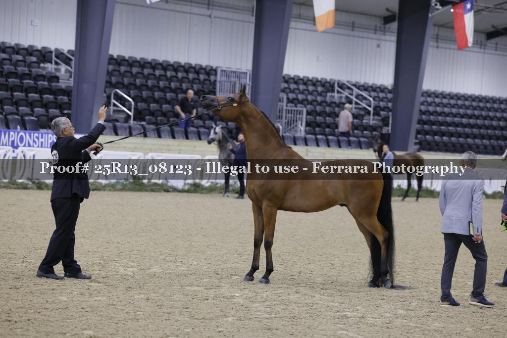 Proof 25R13_08123