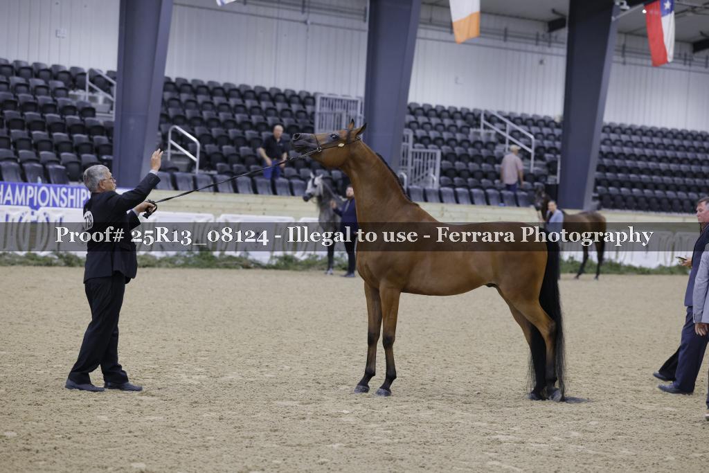 Proof 25R13_08124