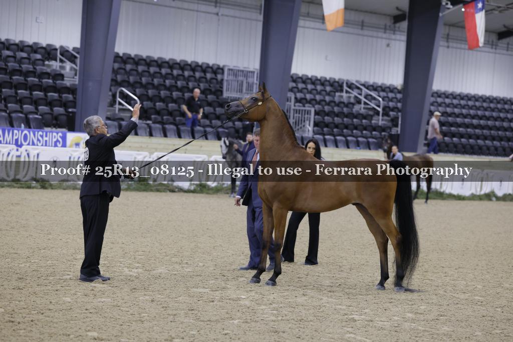 Proof 25R13_08125