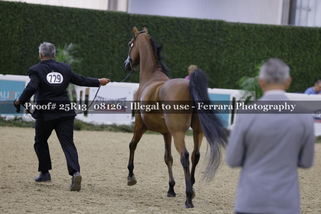Proof 25R13_08126