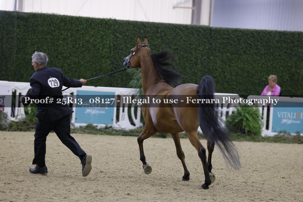 Proof 25R13_08127