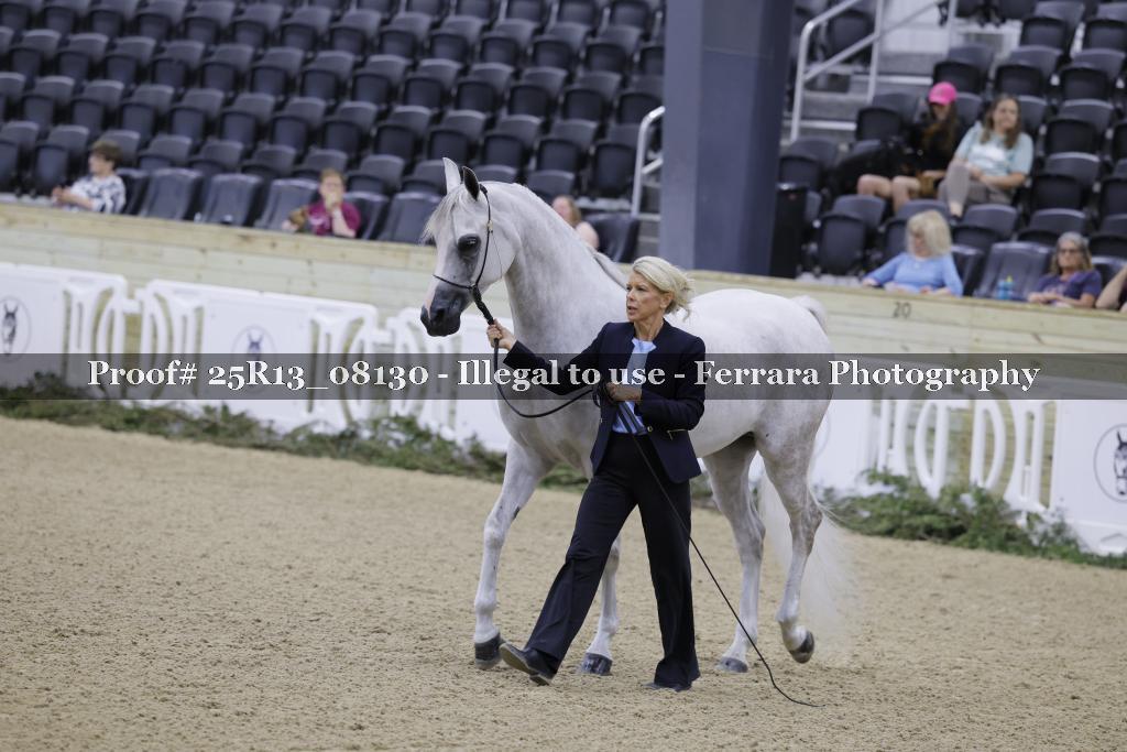 Proof 25R13_08130