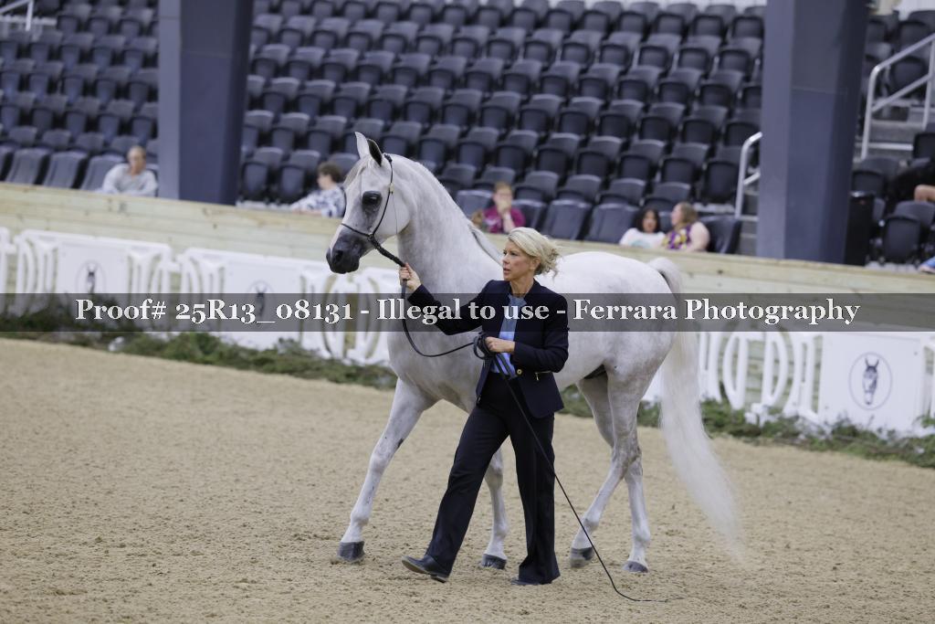 Proof 25R13_08131