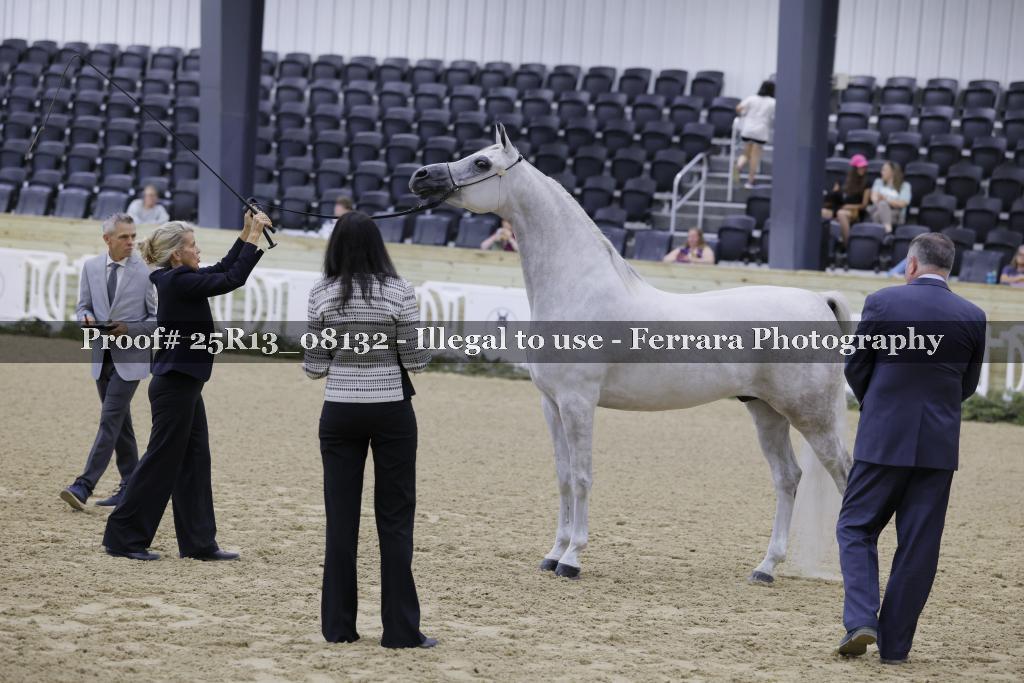 Proof 25R13_08132