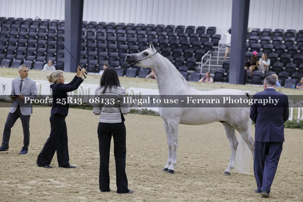 Proof 25R13_08133