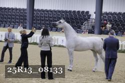 25R13_08133 proof