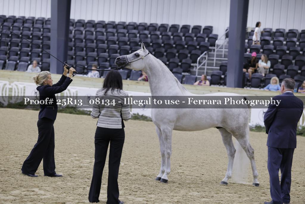 Proof 25R13_08134