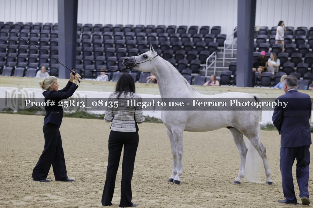 Proof 25R13_08135