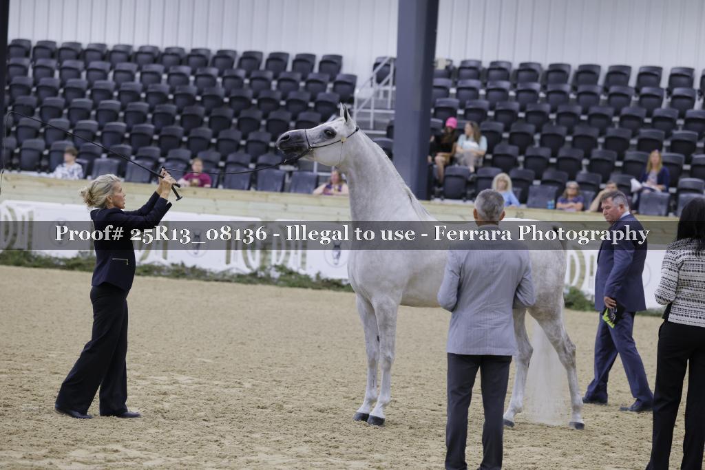 Proof 25R13_08136