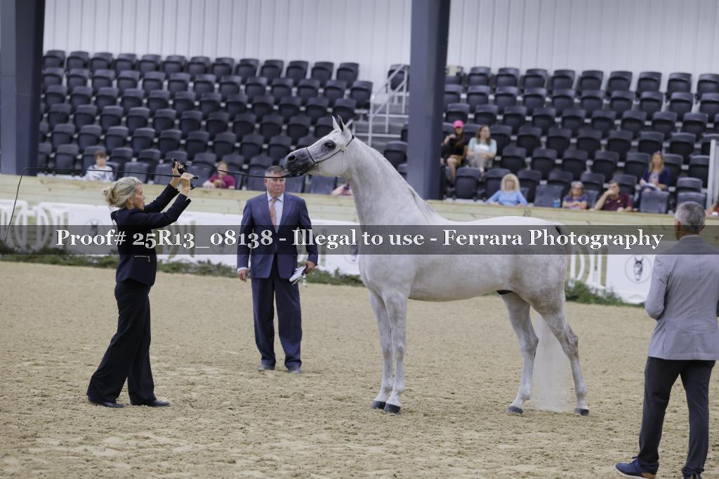 Proof 25R13_08138