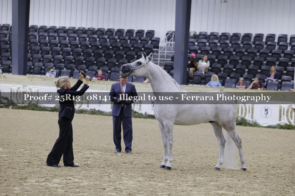 Proof 25R13_08141
