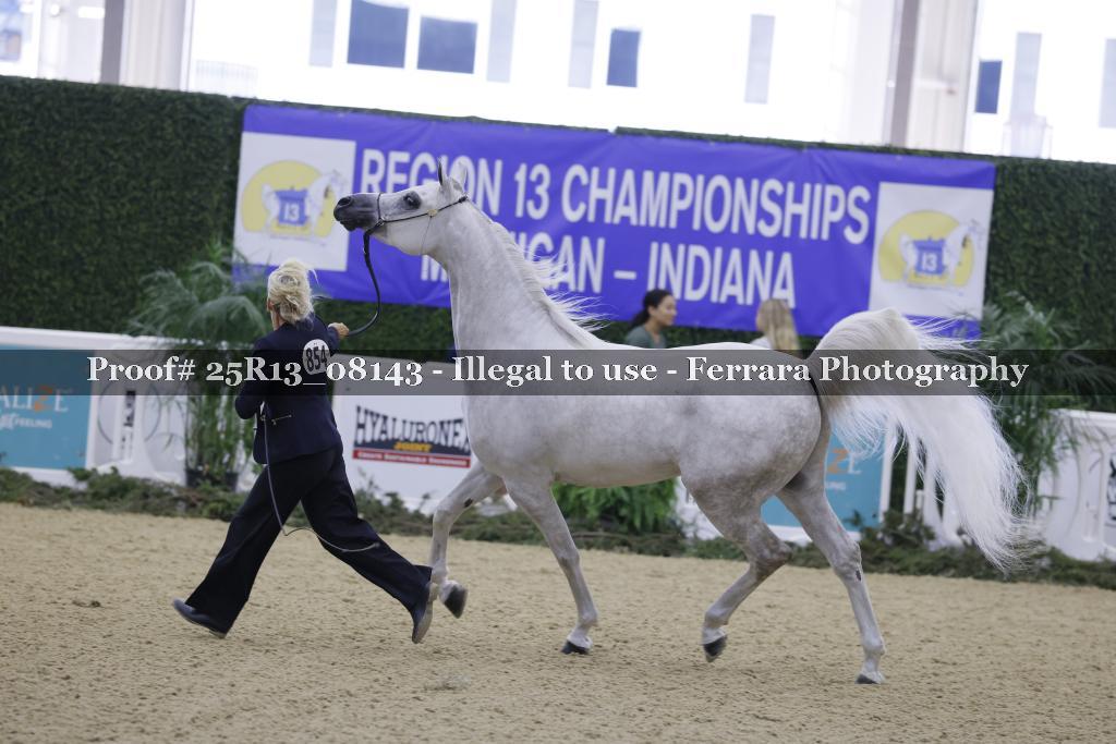 Proof 25R13_08143