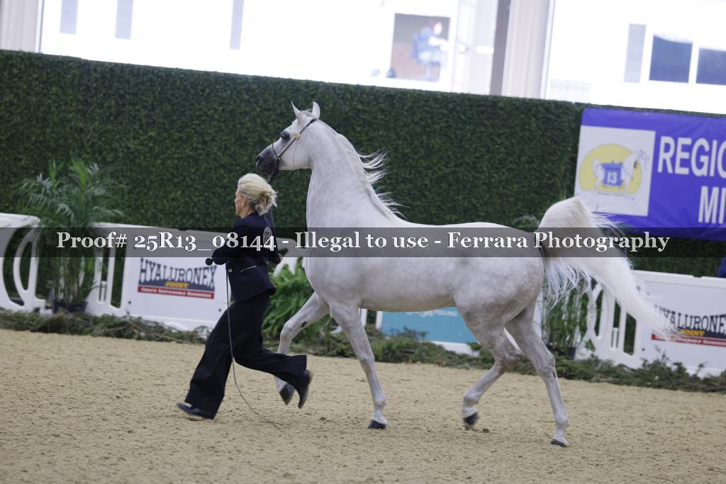 Proof 25R13_08144
