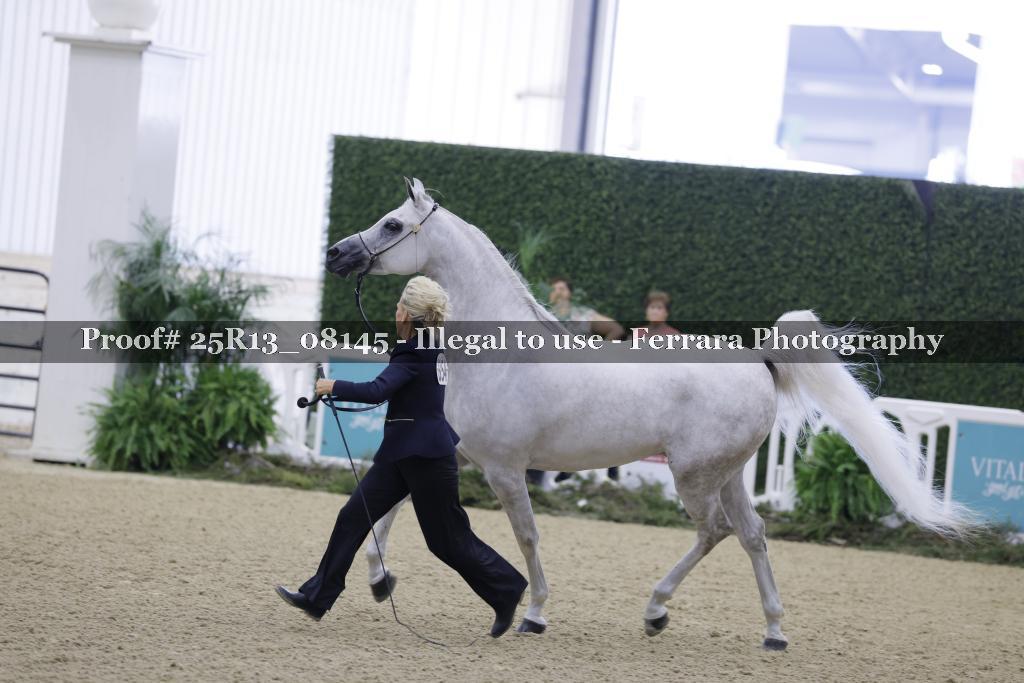 Proof 25R13_08145