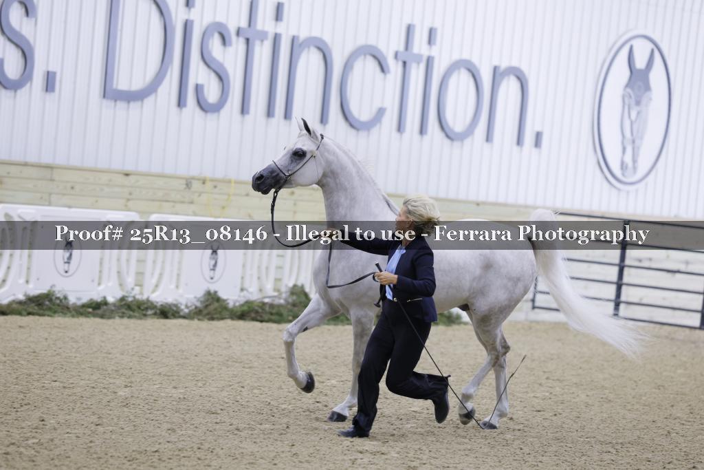 Proof 25R13_08146