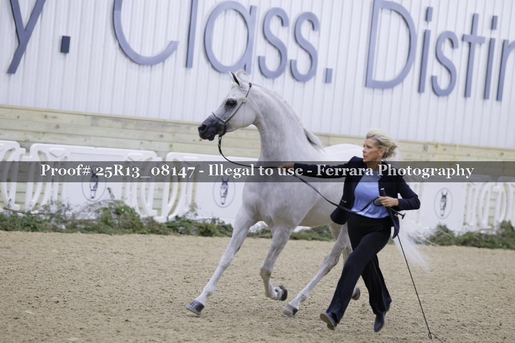 Proof 25R13_08147