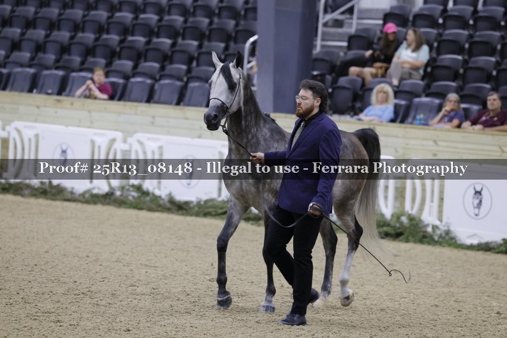 Proof 25R13_08148