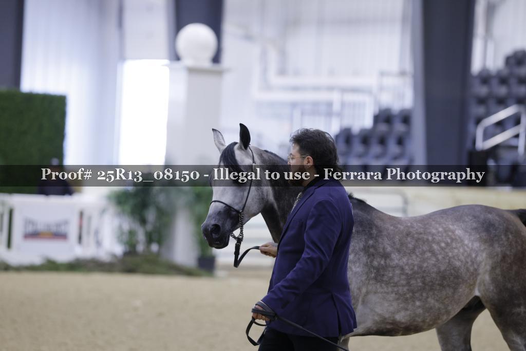 Proof 25R13_08150