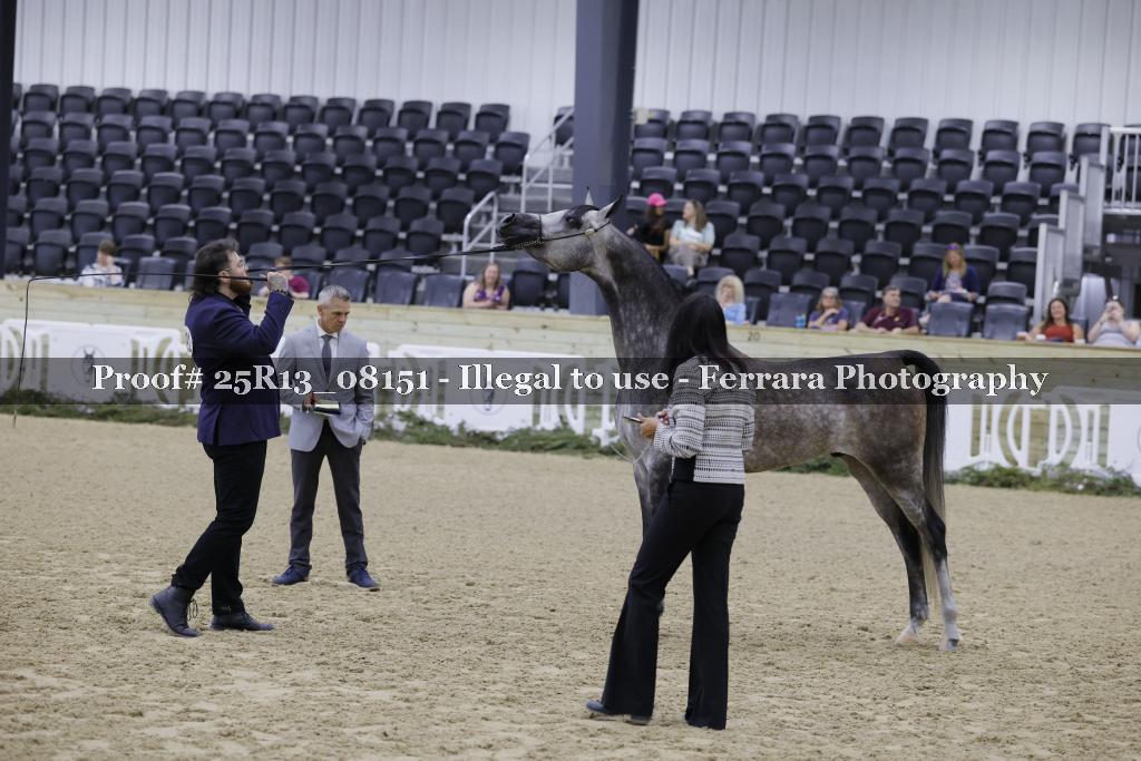 Proof 25R13_08151