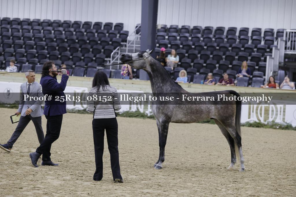 Proof 25R13_08152