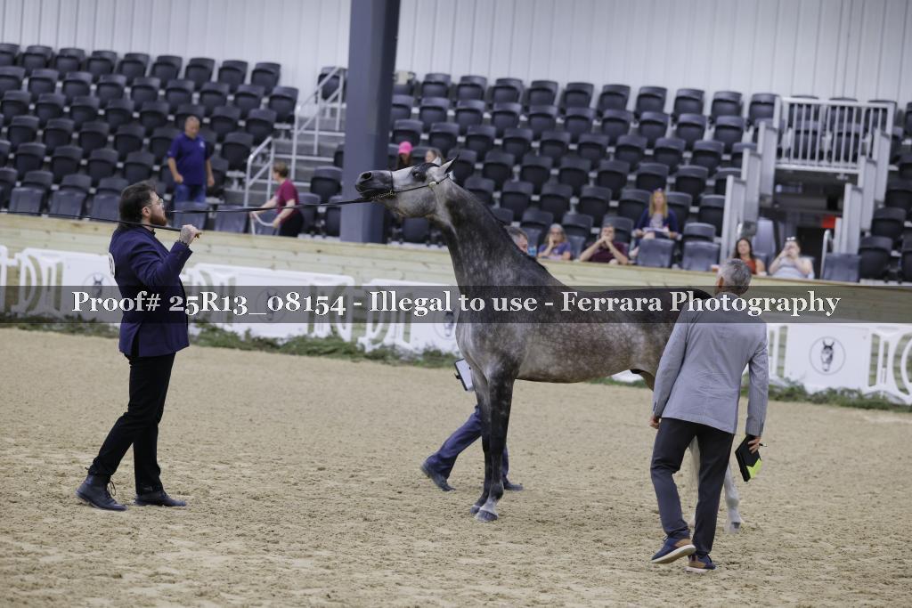 Proof 25R13_08154