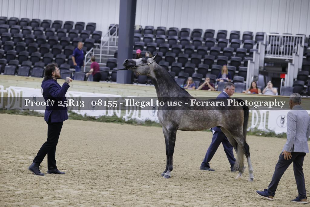 Proof 25R13_08155