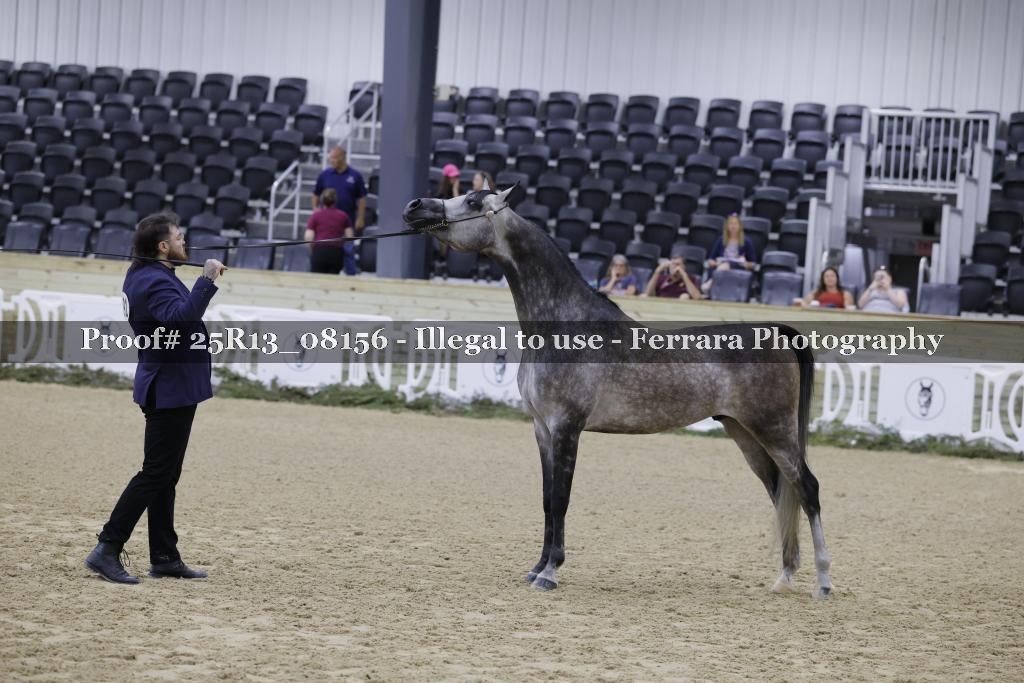 Proof 25R13_08156