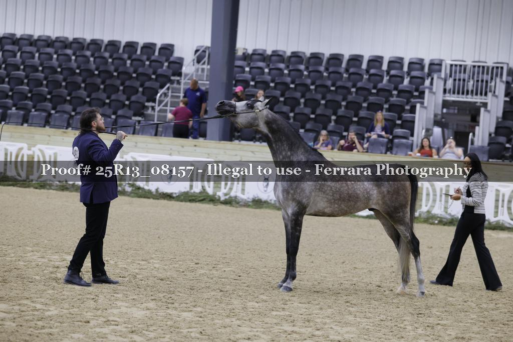Proof 25R13_08157