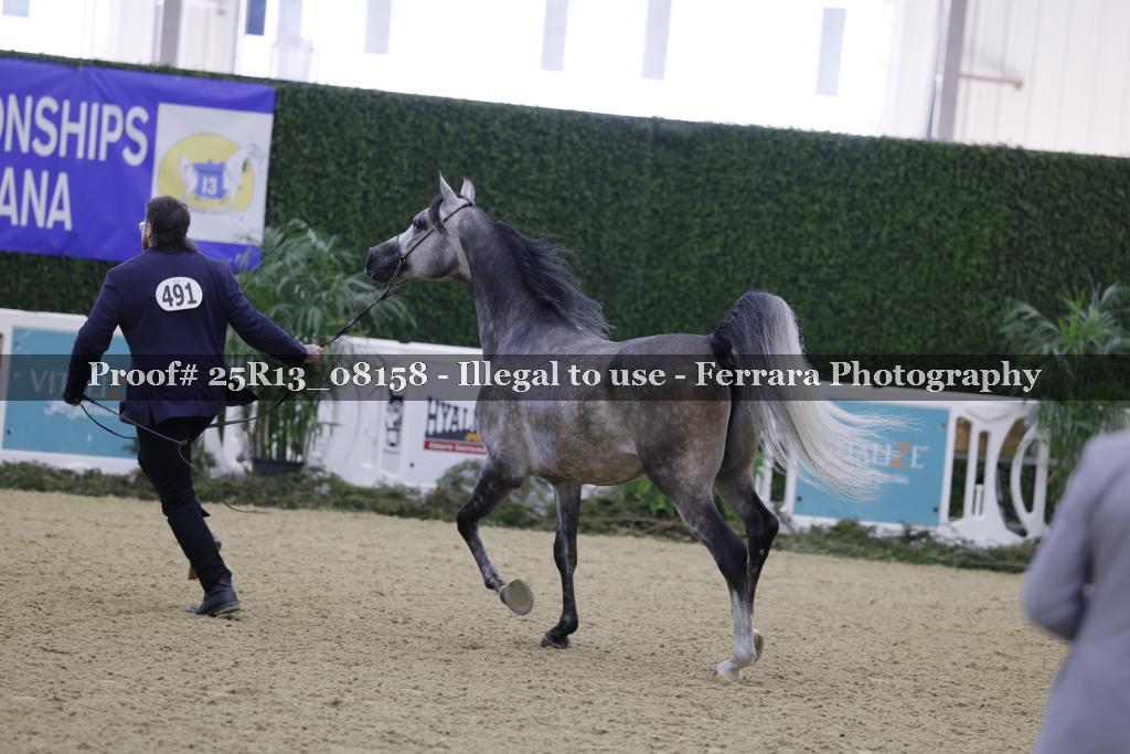 Proof 25R13_08158