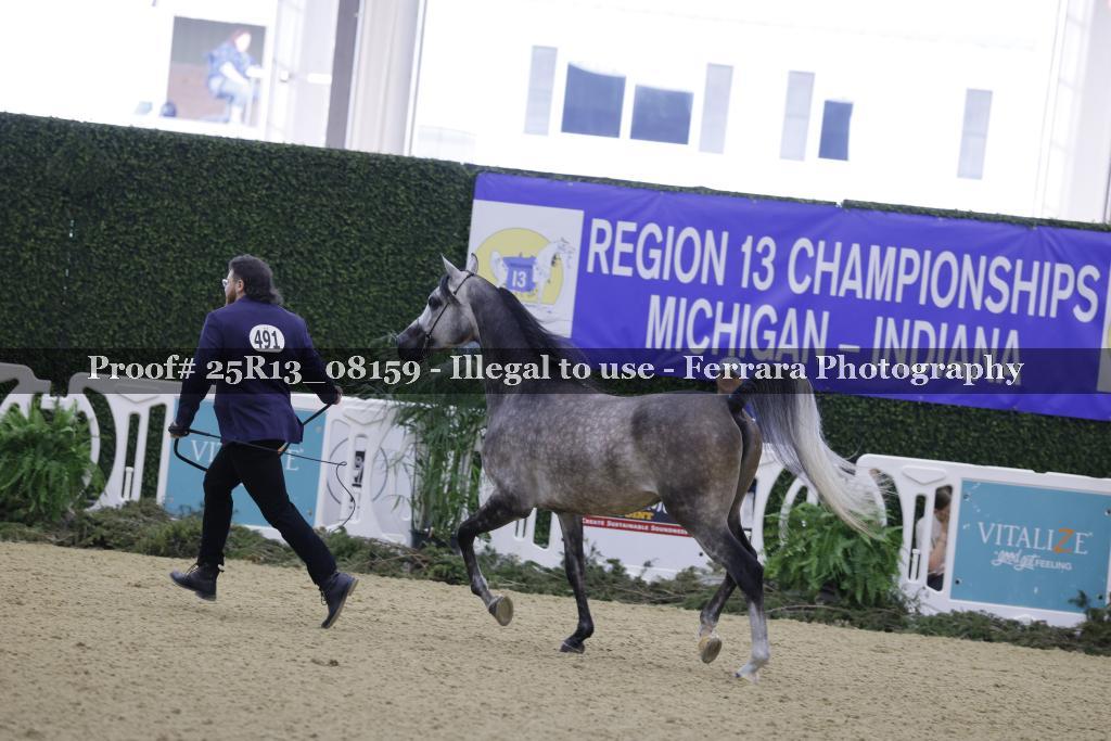 Proof 25R13_08159
