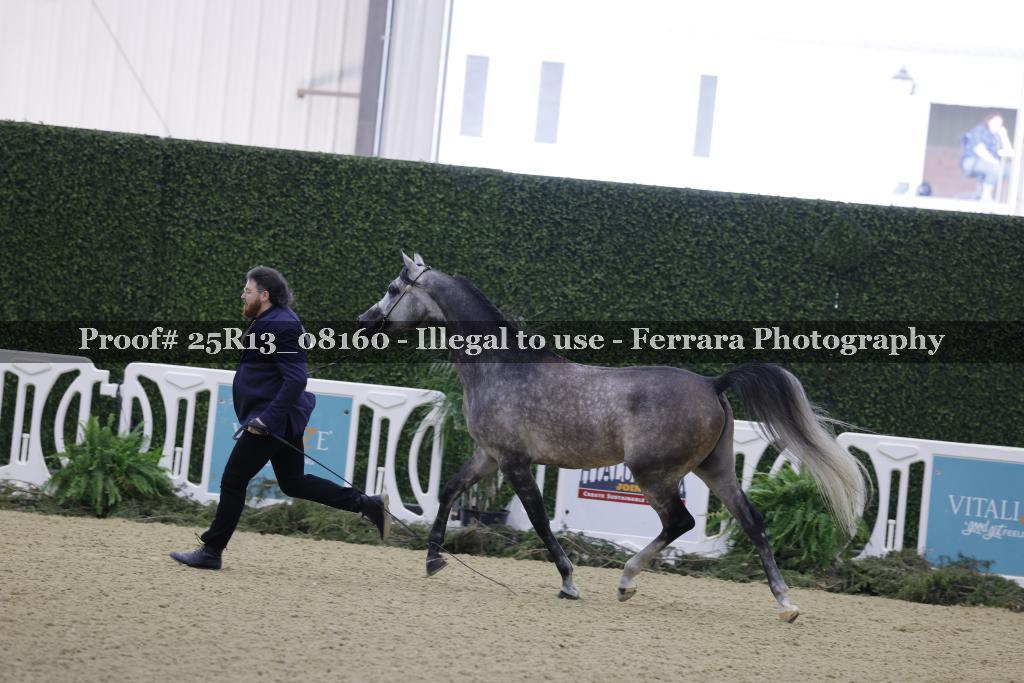 Proof 25R13_08160