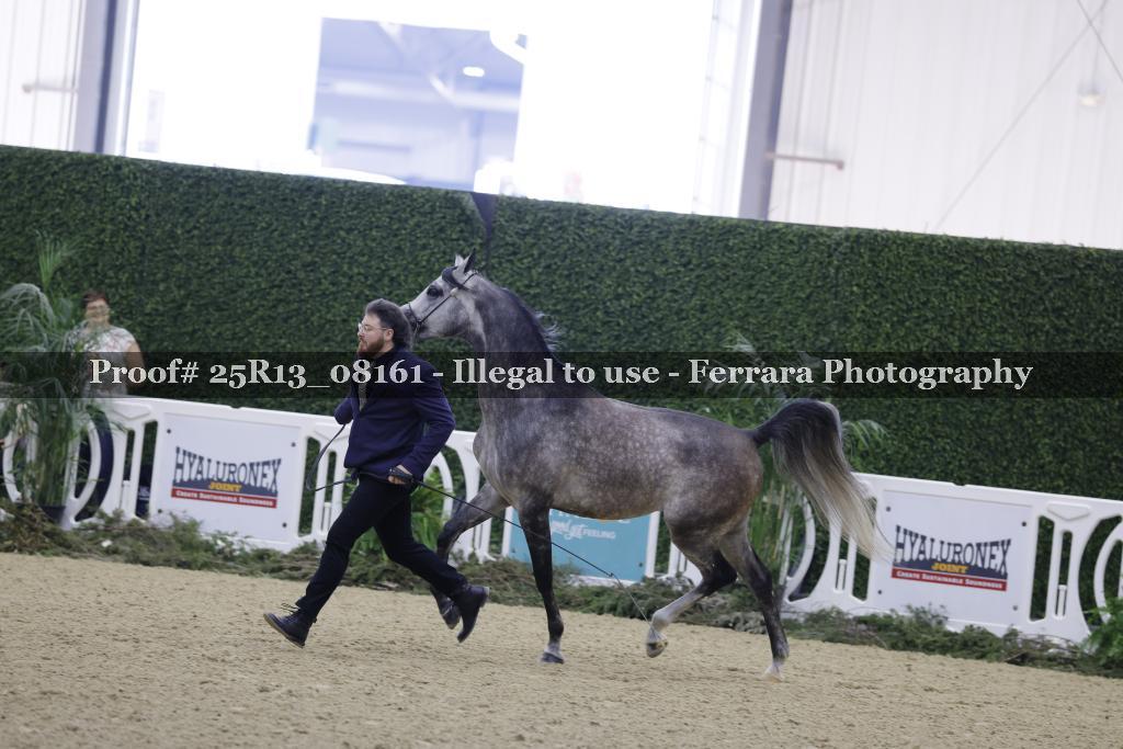 Proof 25R13_08161
