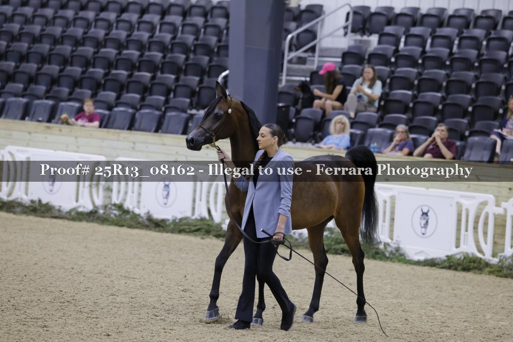 Proof 25R13_08162