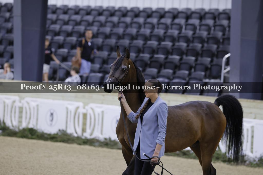 Proof 25R13_08163