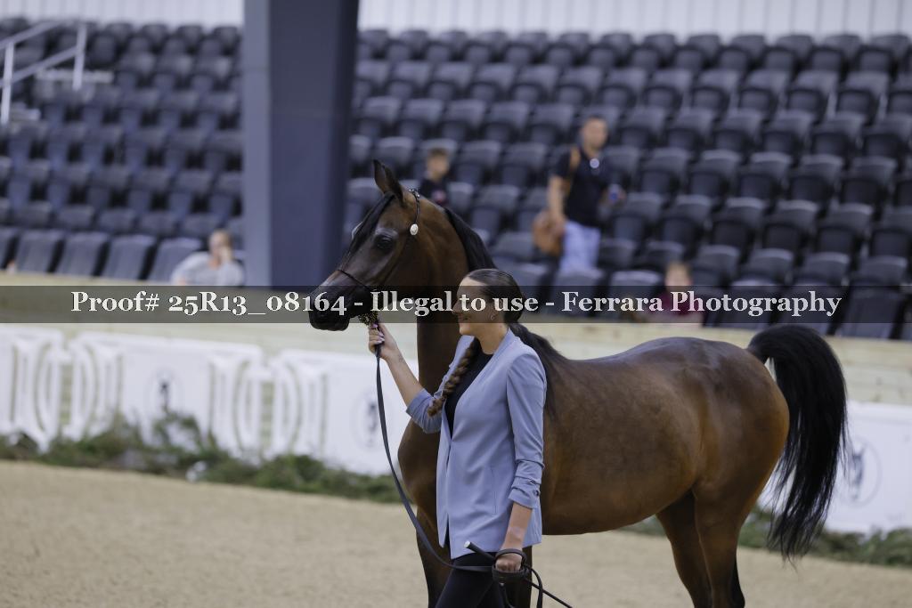 Proof 25R13_08164