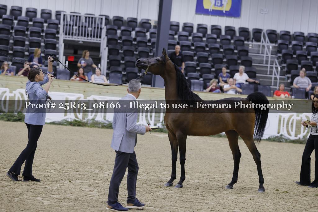 Proof 25R13_08166