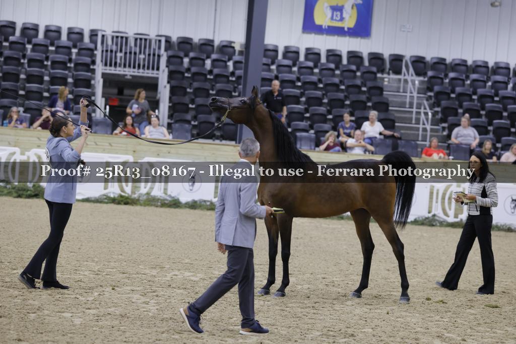 Proof 25R13_08167