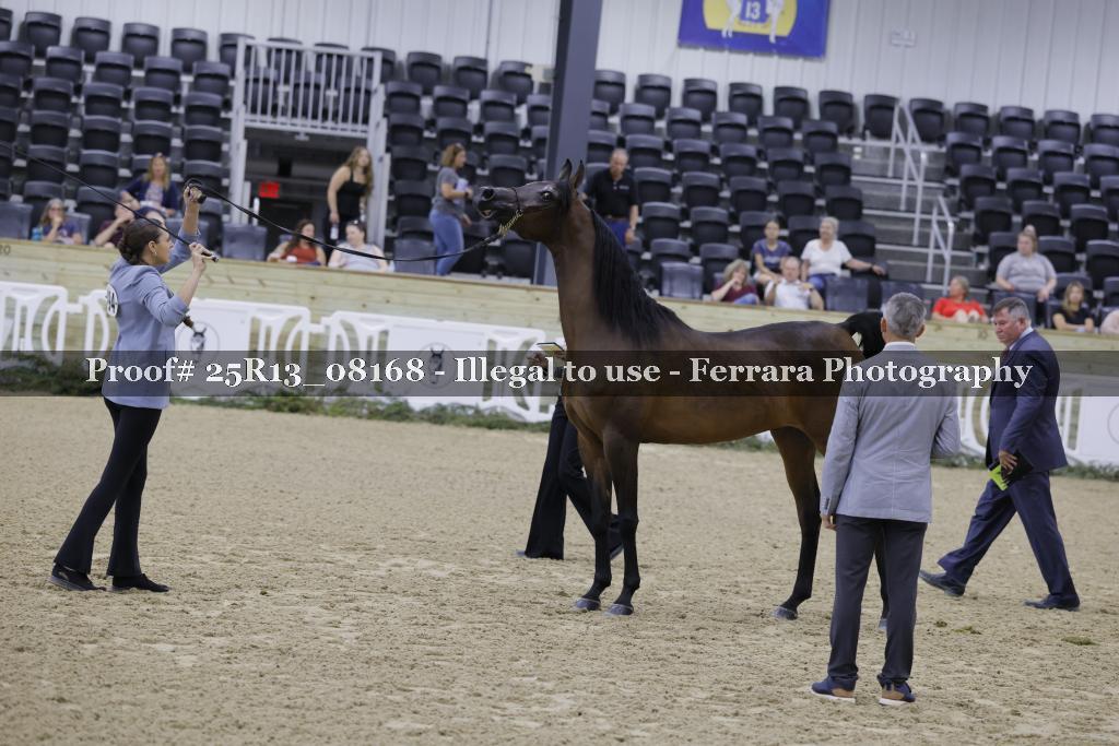 Proof 25R13_08168