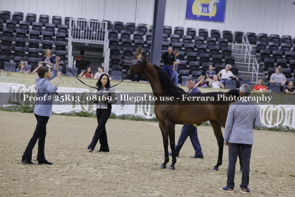 Proof 25R13_08169