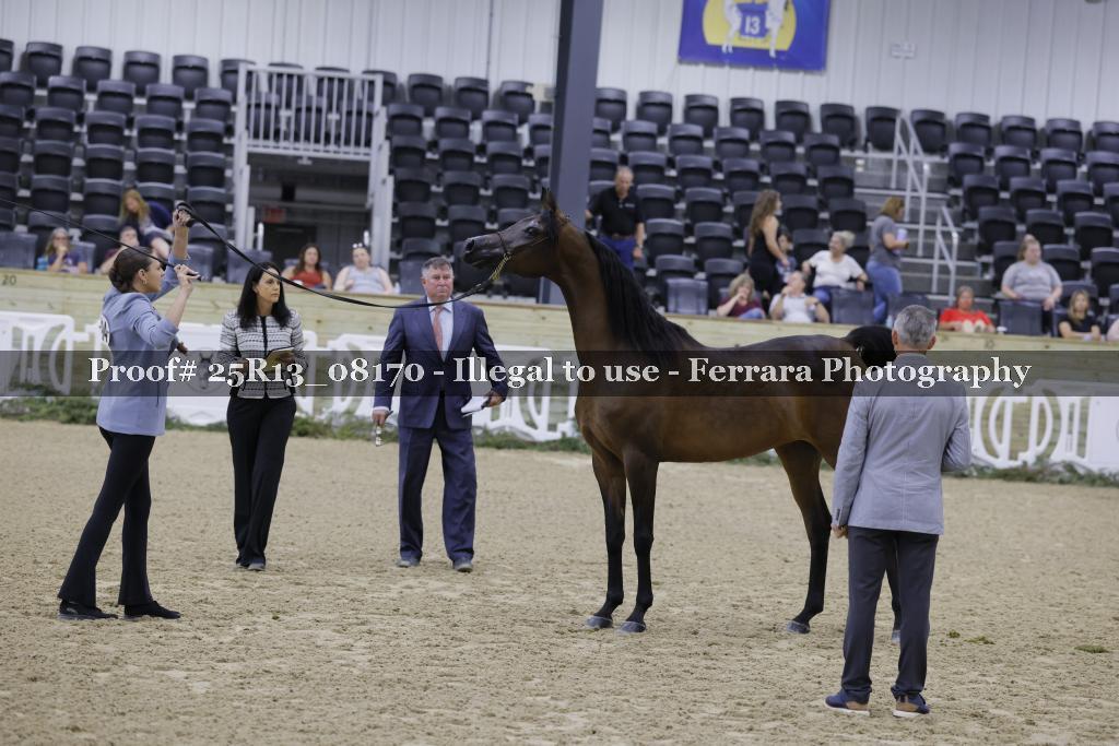 Proof 25R13_08170