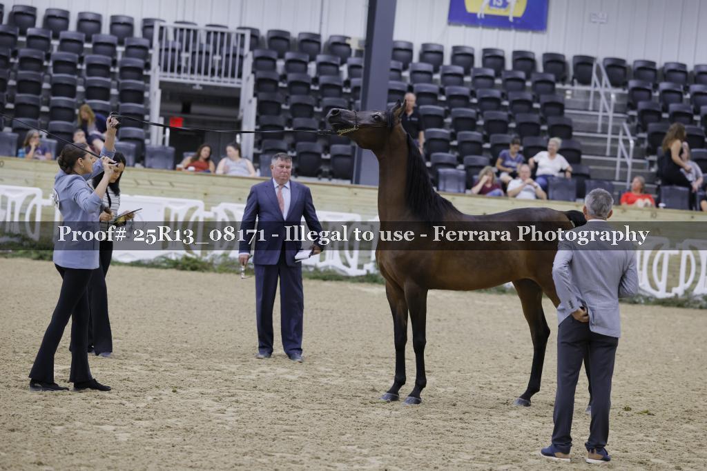 Proof 25R13_08171
