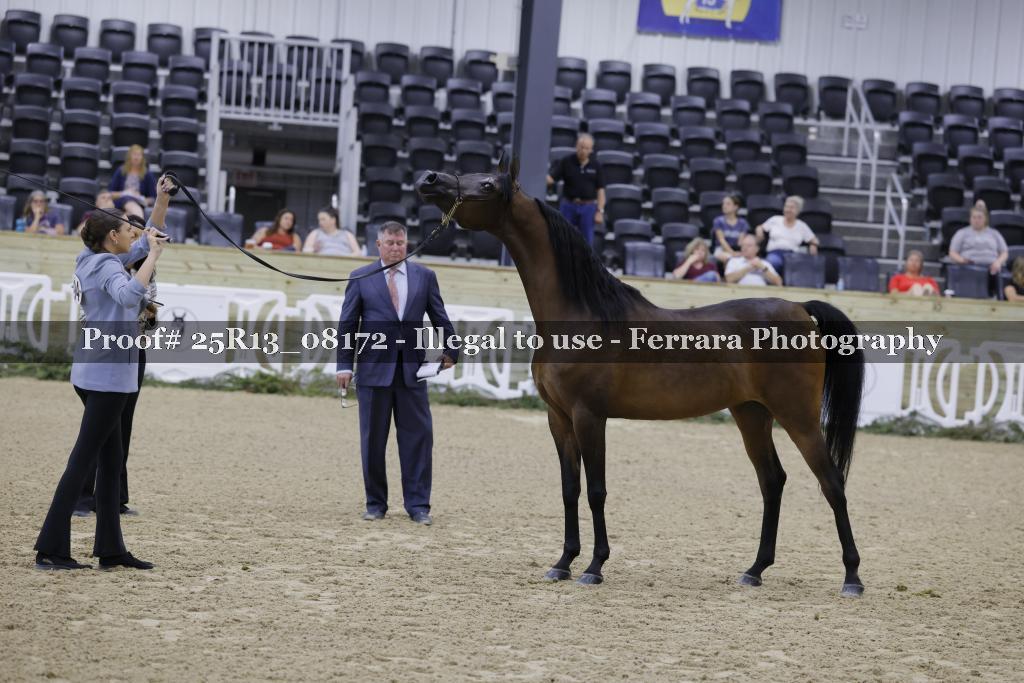 Proof 25R13_08172