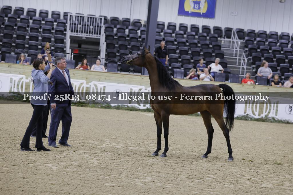 Proof 25R13_08174