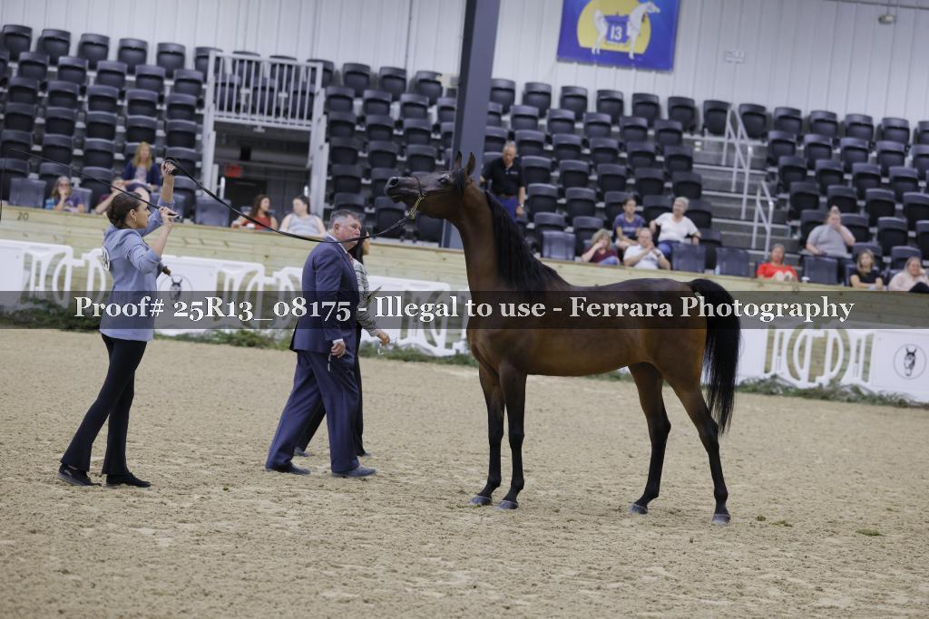 Proof 25R13_08175