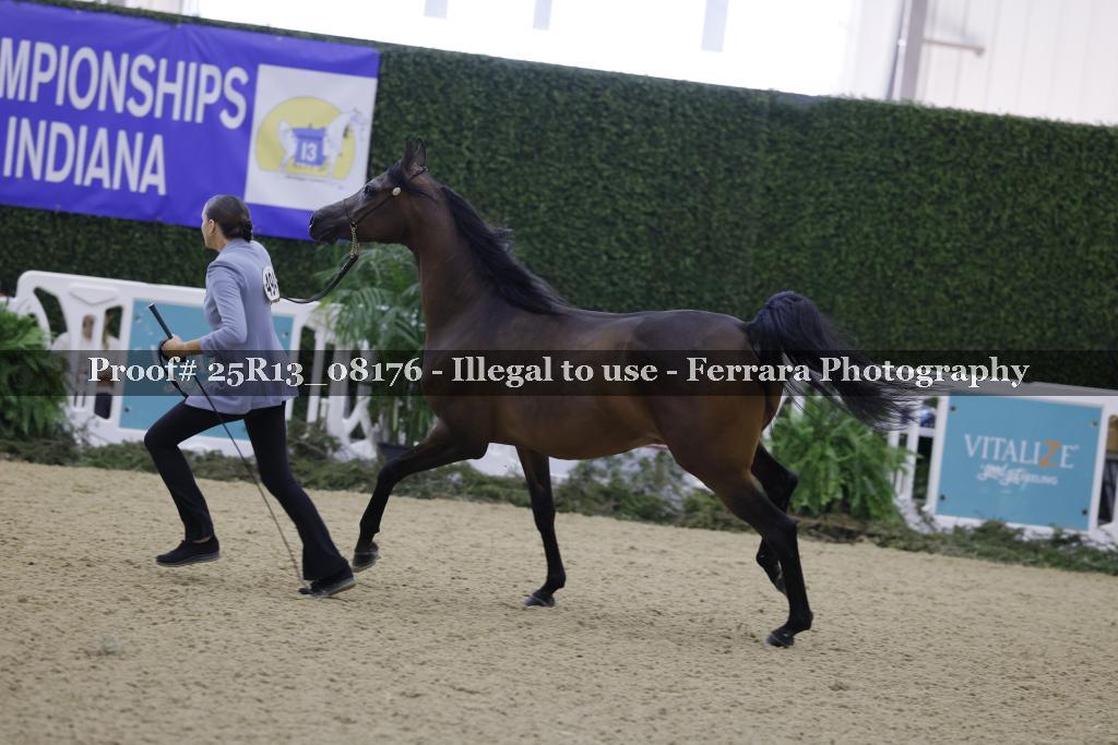Proof 25R13_08176
