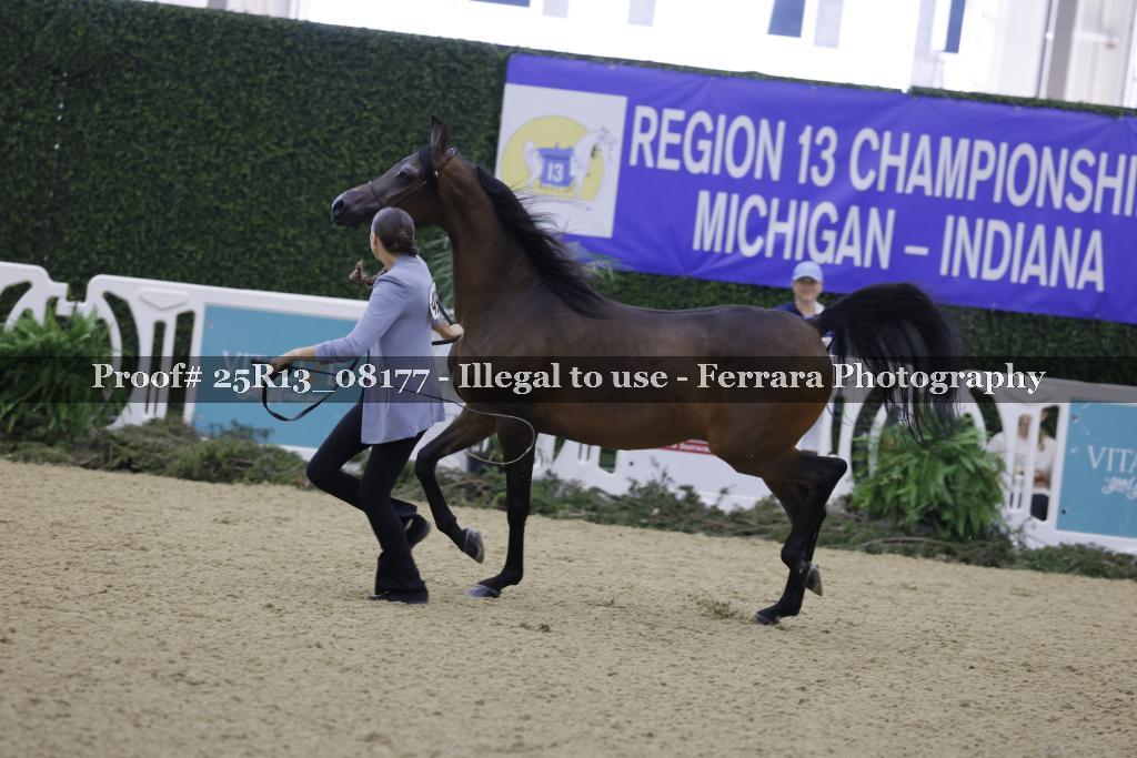 Proof 25R13_08177