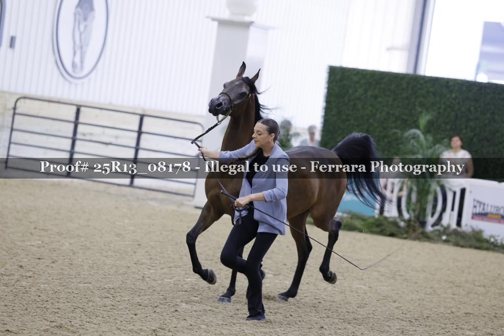 Proof 25R13_08178
