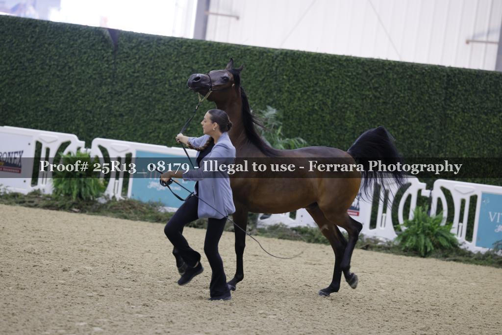 Proof 25R13_08179